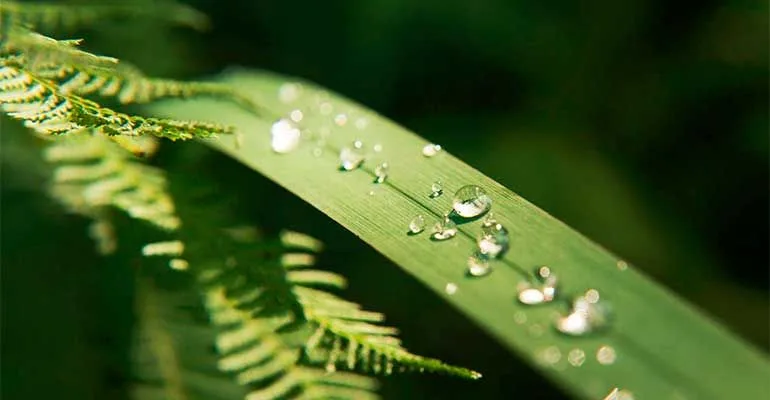游戏更新解读 - c7娱乐游戏平台